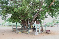 Sri Vijayaasana Perumal Temple
